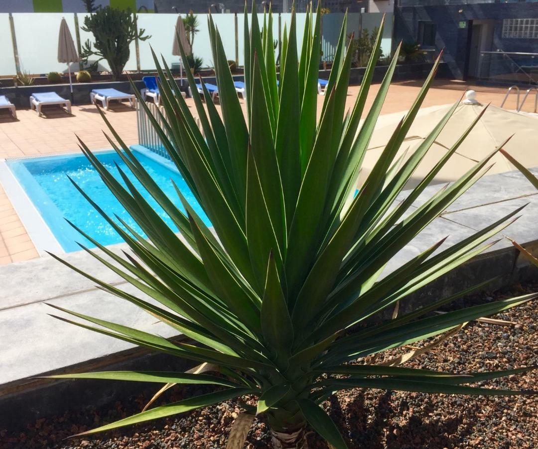 Ferienwohnung Blue Dream Playa Corralejo Exterior foto